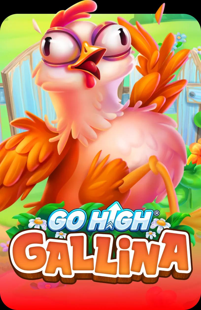 Go High Gallina 94