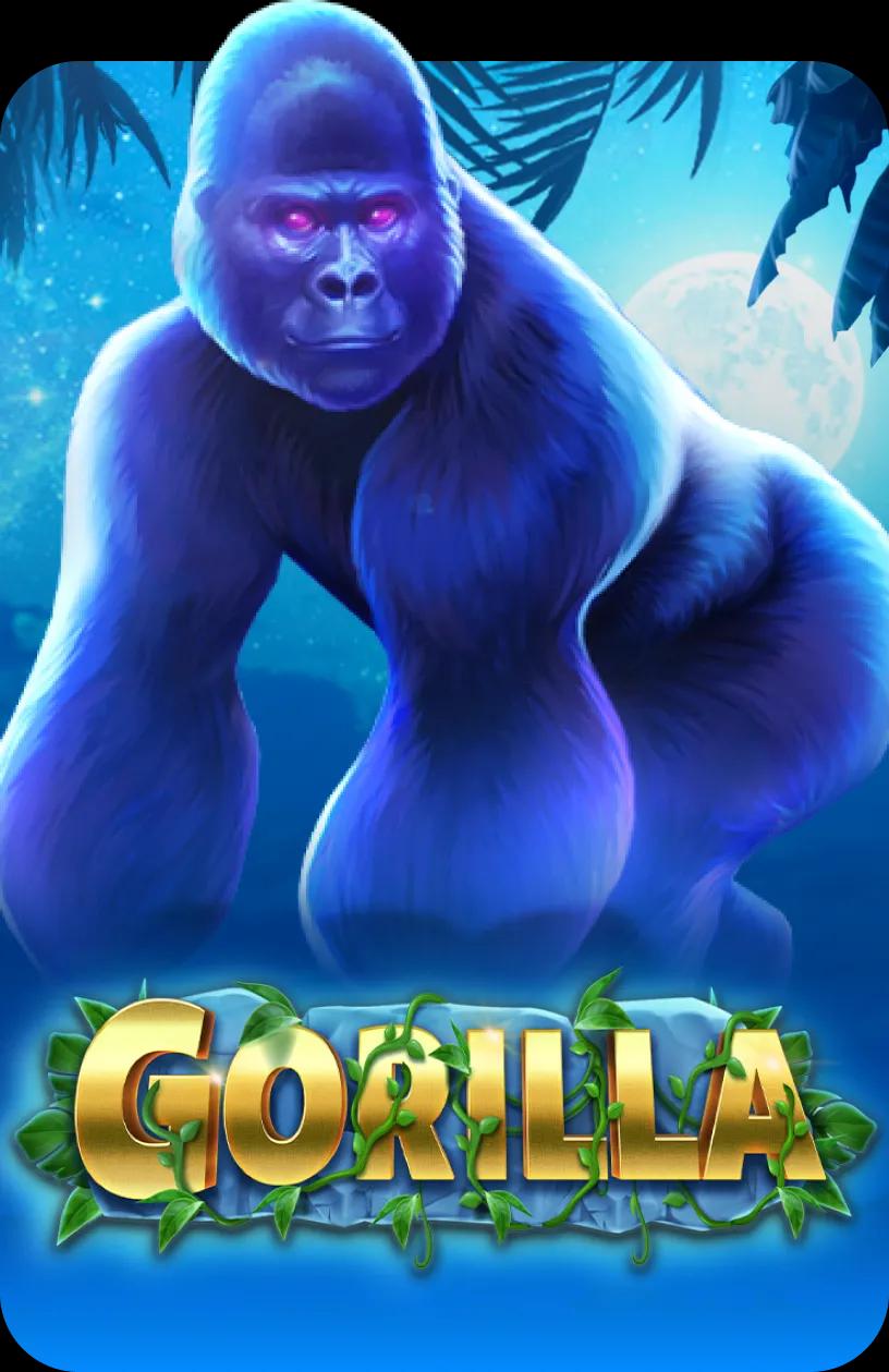 Gorilla