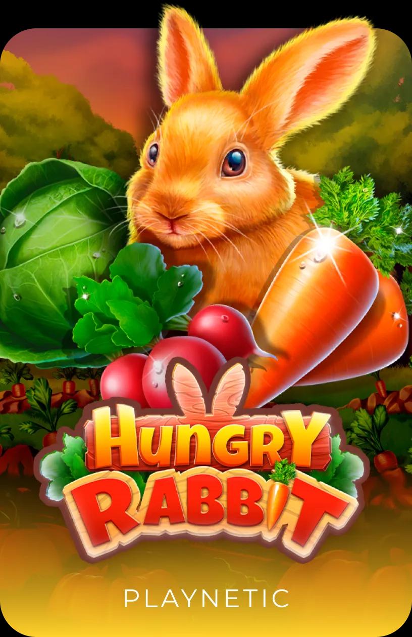 Hungry Rabbit