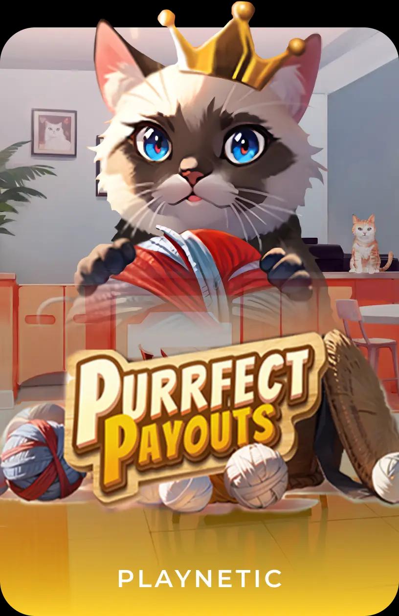 Purrfect Payouts